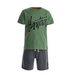 Футболка Hawaii и шорты серого цвета от бренда Original Marines