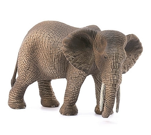 Африканский слон, самка от бренда SCHLEICH