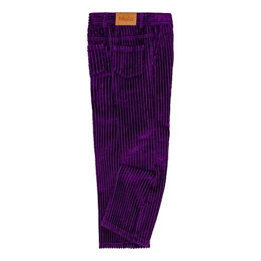 Штаны Aida Warm Purple от бренда MOLO