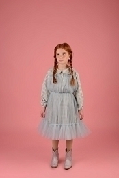 Платье в клетку с отделкой фатином от бренда Raspberry Plum