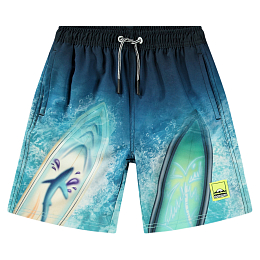 Шорты Nilson Surf Art Blue chill от бренда MOLO