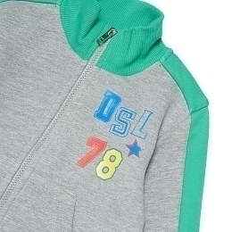 Олимпийка SDABBYB двухцветная от бренда DIESEL