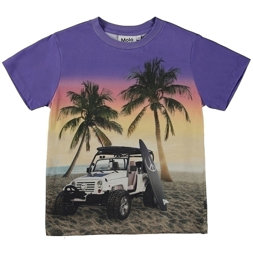 Футболка Rame Evening Beach от бренда MOLO Разноцветный Фиолетовый