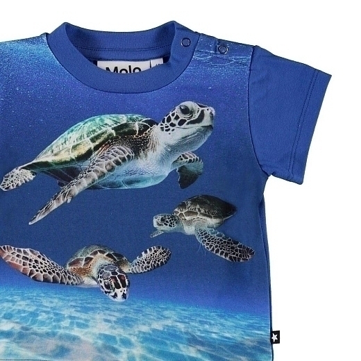 Футболка Baby Turtles от бренда MOLO Синий Разноцветный