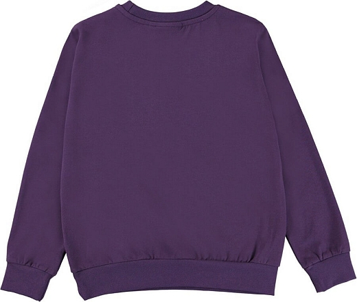 Свитшот Regine Triplets purple от бренда MOLO