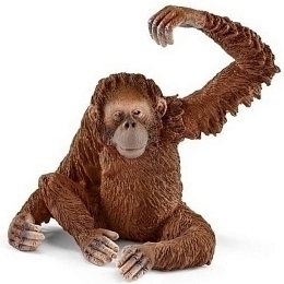 Орангутан, самка от бренда SCHLEICH
