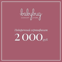 Подарочный сертификат 2 000 рублей от бренда Babybug