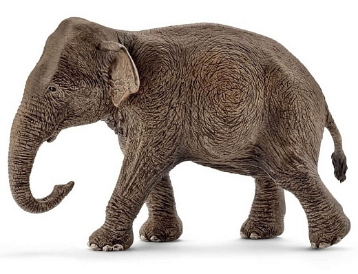 Азиатский слон, самка от бренда SCHLEICH