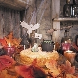 Декор для торта Гарри Поттер от бренда Tim & Puce Factory
